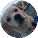Abby T profile picture